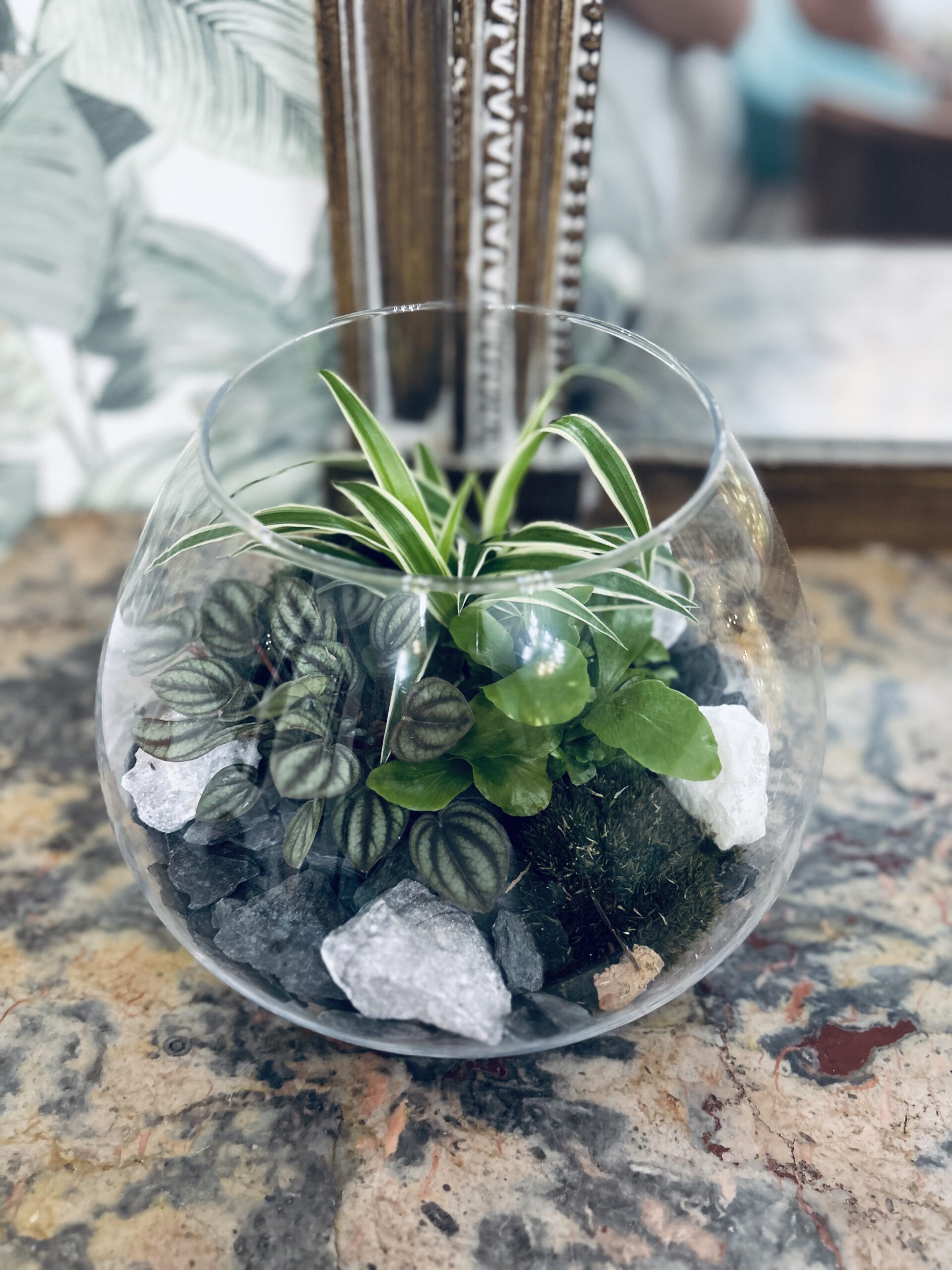 Terrarium